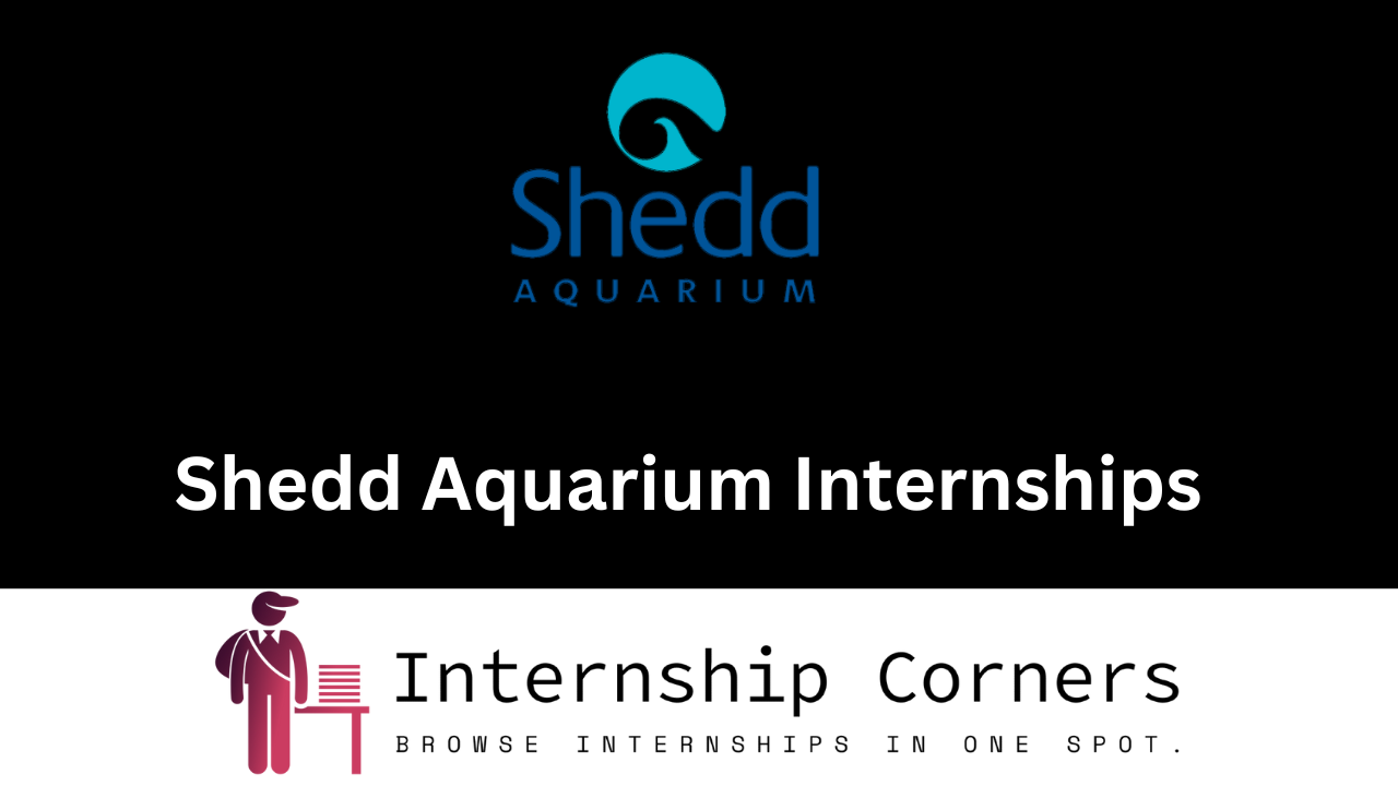 Shedd Aquarium Internships