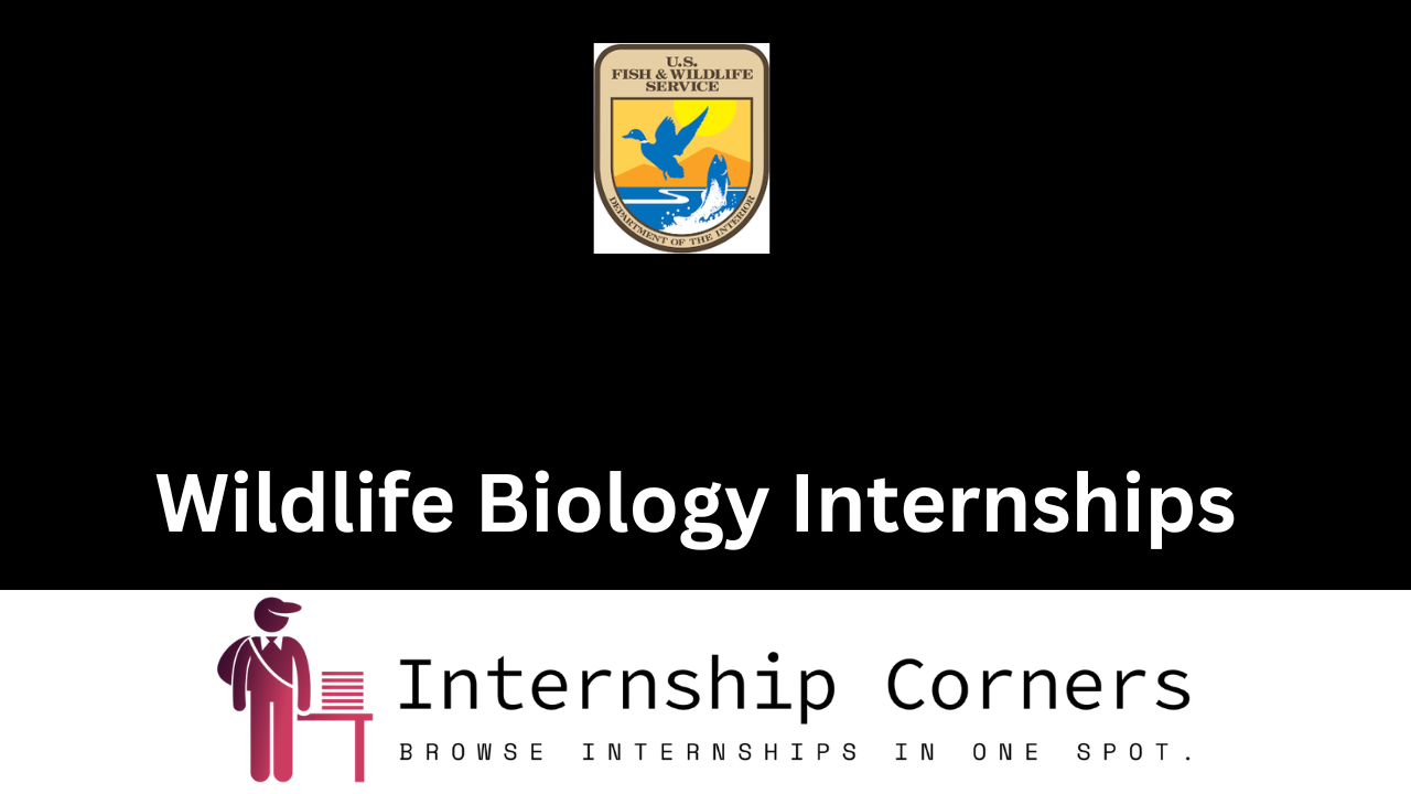 Wildlife Biology Internships